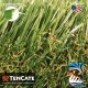 Diamond Supreme Fescue