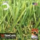 Everglade Fescue Light