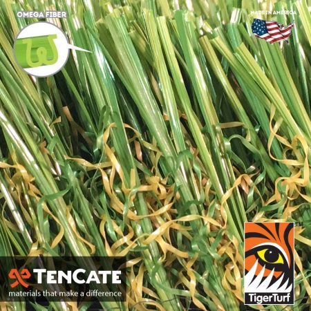 Everglade Fescue Pro